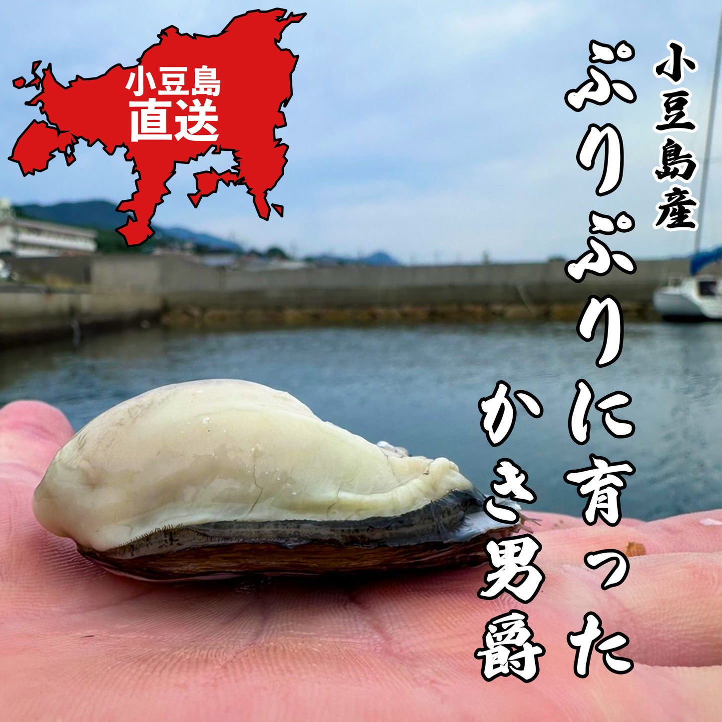 かき男爵(生食殻付き牡蠣)