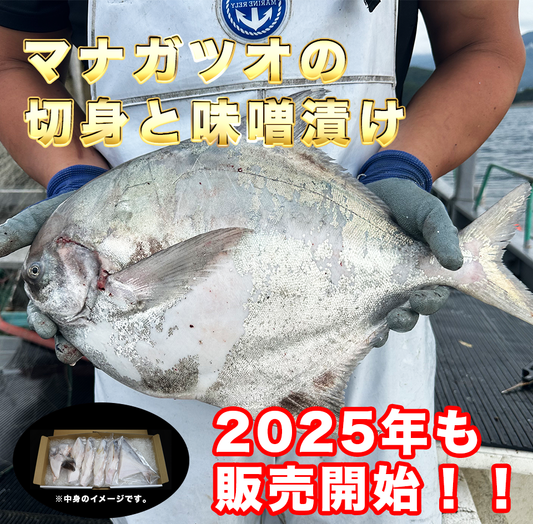 マナガツオの切身と味噌漬け